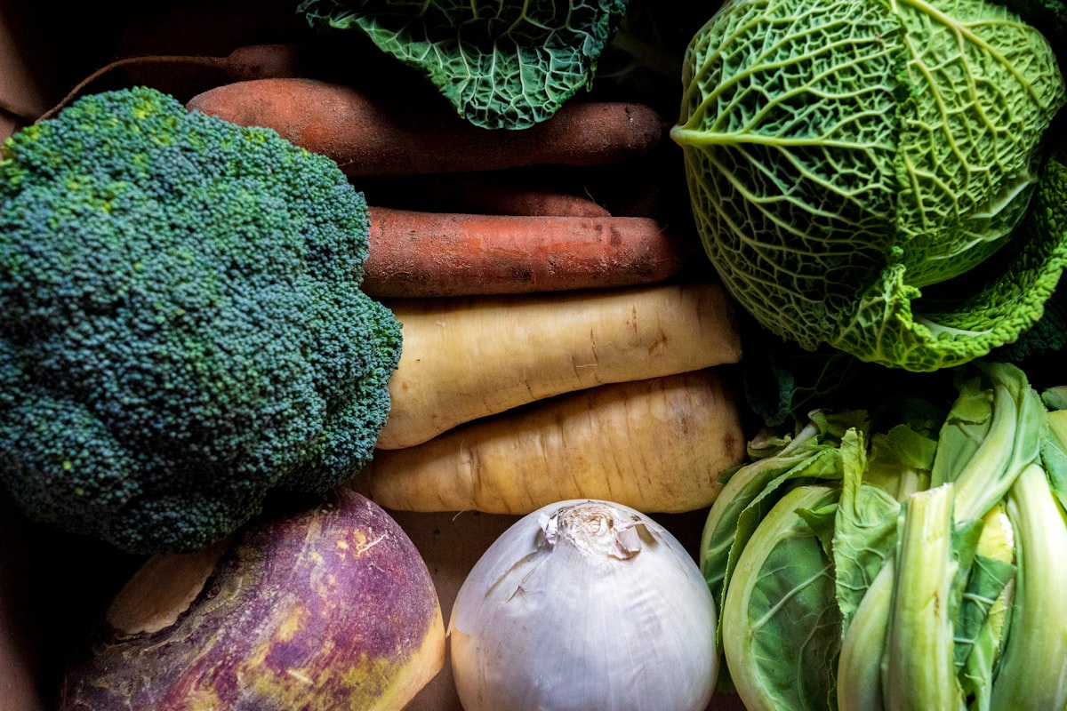 Probiotic supplement options